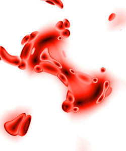 fotolia_532479_xs