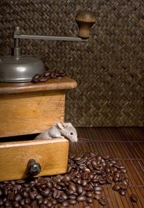 Coffee lover Café grillé