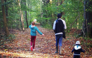 Les balades en forêt contre le stress