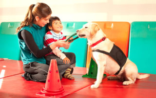 La présence d’un animal diminue le niveau de stress