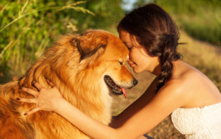 Les chiens n’aiment pas les câlins ? Pas si sûr...