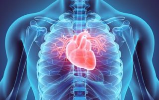 sensibilité au stress Stress et risques cardiovasculaires