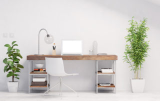 Les plantes au bureau contre le stress au travail