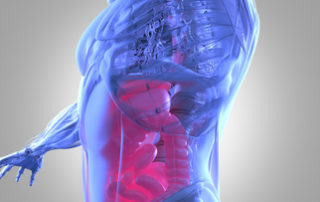 Diminuer le stress via notre microbiote : une piste sérieuse
