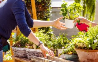 Vous aimez jardiner ? Tant mieux, c'est bon pour lutter contre le stress !