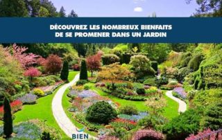 bienfaits de se promener dans un jardin