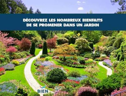 Découvrez les nombreux bienfaits de se promener dans un jardin