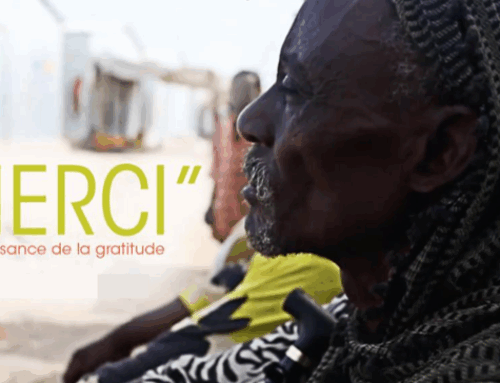 La gratitude et les encouragements, apaisent, protègent et aident à persévérer…